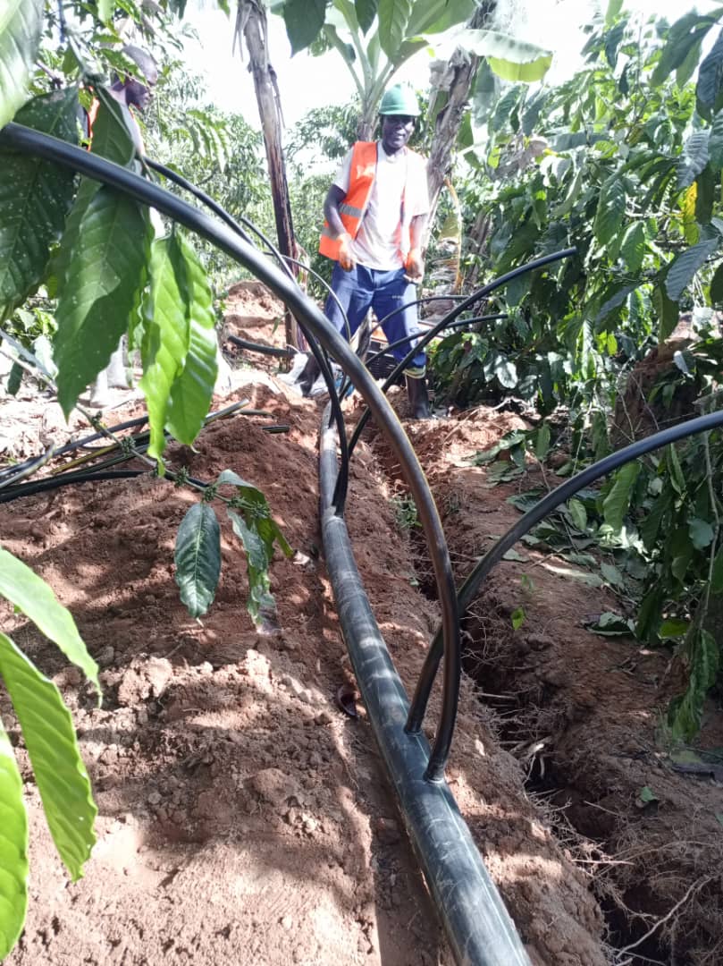 WhatsApp Image 2025-12-24 at 3.06.33 PM